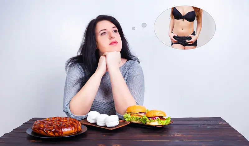 Diet karnivora