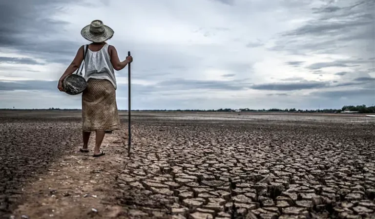 Prediksi Musim Kemarau 2025