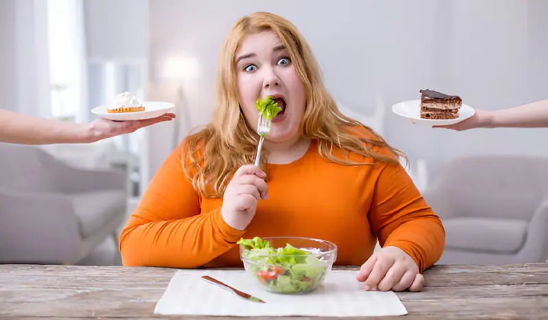 Risiko diet karnivora